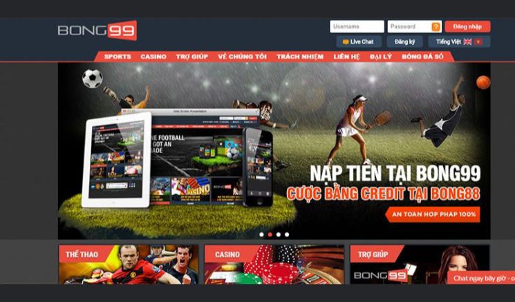Hướng dẫn kiểm tra thông tin F88bet